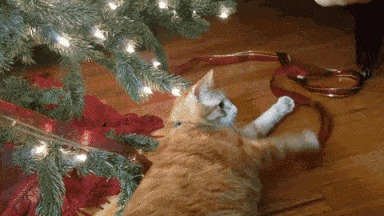 Новый год Новый Год, Семья, Ожидание, Снег, Волшебство, Гифка, Видео, Длиннопост