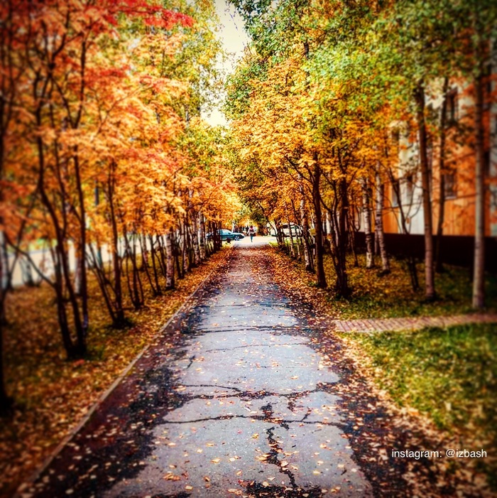 Фото Телефон На Улице Осенью