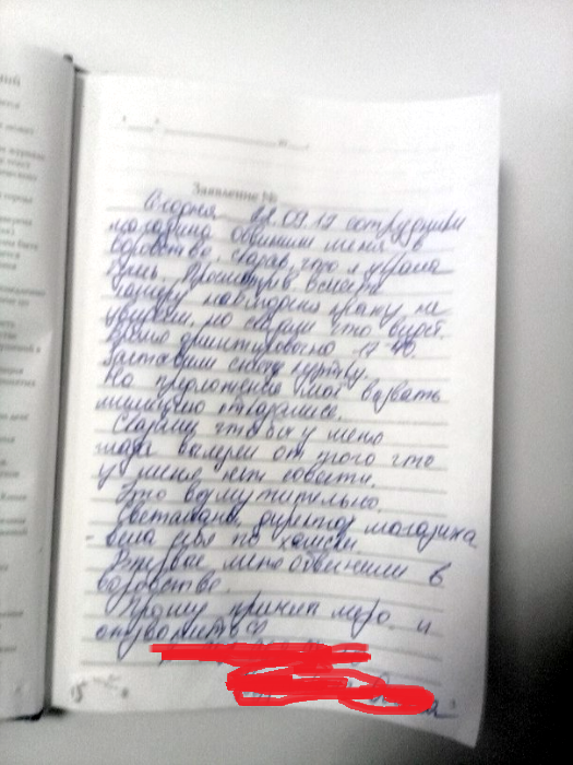 Обидели в магните - Моё, Магнит косметик, Воровство, Клевета, Обида, Длиннопост, Кража