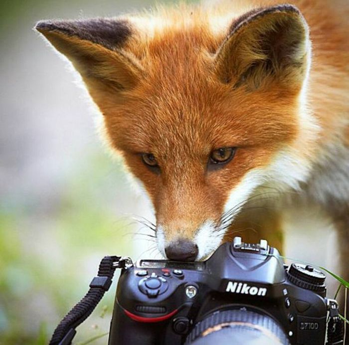 ����� �������� ^.^