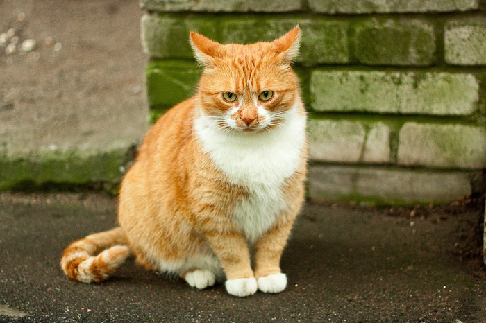 I'm sexy and I know it!
