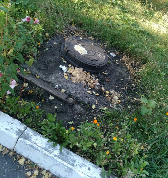 The best way to throw stinky slop right on the ground - My, Slops, Courtyard, Stench, Garbage