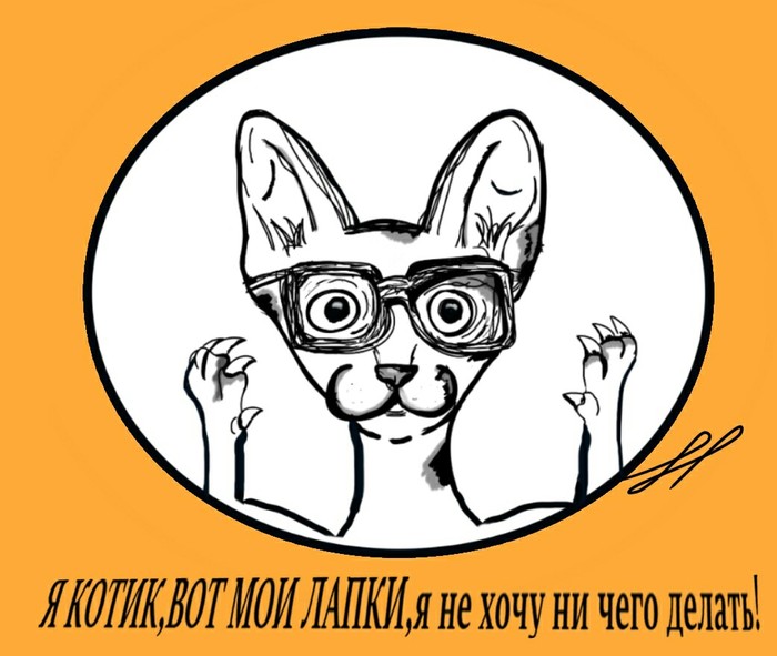 Я котик вот мои лапки