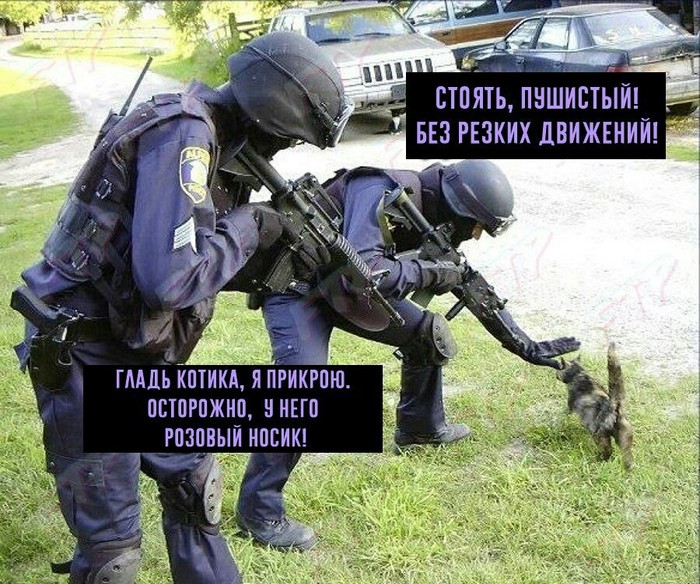 Danger - In contact with, Special Forces, Detention, cat