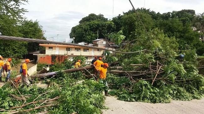 Hurricane Maria in the Dominican Republic - Hurricane, , Dominican Republic, Longpost