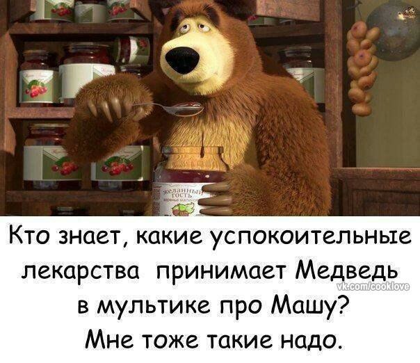 Maybe someone knows? - NSFW, Masha and the Bear, Picture with text, Calmness, Hello reading tags, Tag, In contact with, Longpost