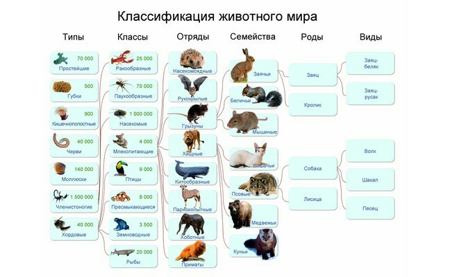 МЕХАНИЗМ ВЗАИМОДЕЙСТВИЯ ВЫСШИХ ДУХОВНЫХ ПРИМАТОВ или ЧТО ОЗНАЧАЕТ ГОНЯТЬ ОБРАЗЫ или ЧТО ТАКОЕ ЭГРЕГОР ПОПУЛЯЦИ - Моё, Истина, Человек, Экология, Наука, Психология, Сознание, Эгрегор, Метафизика, Длиннопост