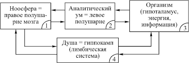 ЧИСТО ФИЗИЧЕСКАЯ ДЕЙСТВИТЕЛЬНОСТЬ или РЕАЛЬНОСТЬ ОТДЫХАЕТ - Моё, Наука, Подсознание, Сознание, Разум, Душа, Фракталы, Хаос, Метафизика, Длиннопост