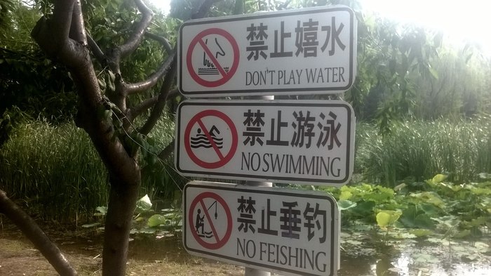 No fEising or no fishing - My, China, Living abroad, Beijing, Capital, Life stories, Work abroad, The park