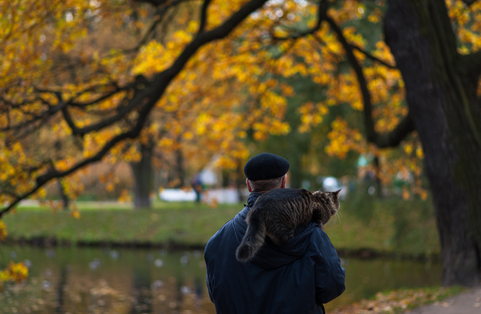 На прогулке - Моё, Санкт-Петербург, Таврический сад, Кот, Фотография, Nikon