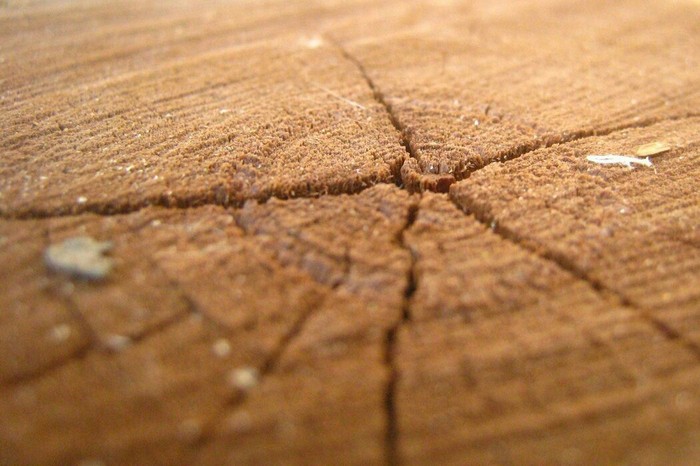 ������������ ������� � ��������� ����