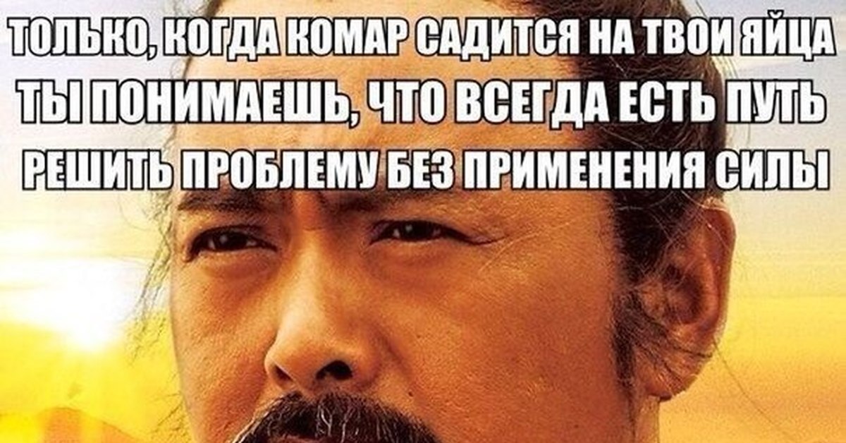Только Когда Комар Садится На Твои Яйца Конфуций Картинка