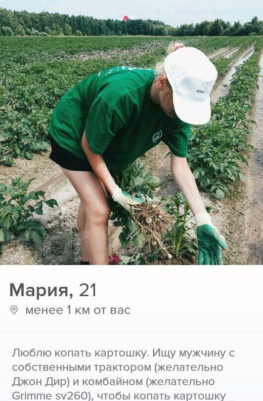 When you are looking for a soul mate in Belarus - Potato, Potatoes of Love, Tinder, Images, Acquaintance