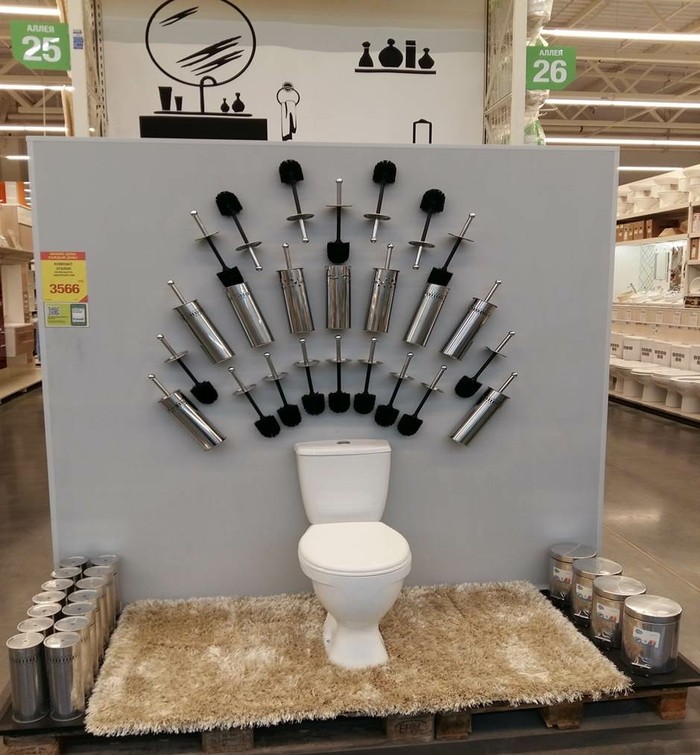 ����� ������ ���� ���������