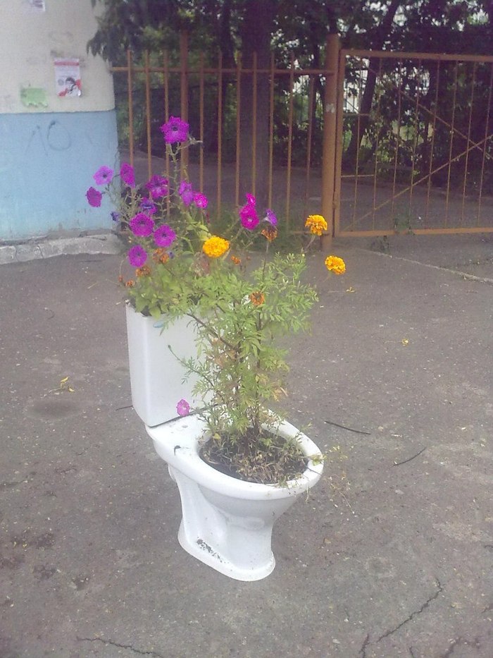 Art - Toilet, Public toilet, Flowers, Nature, Modern Art, Toilet