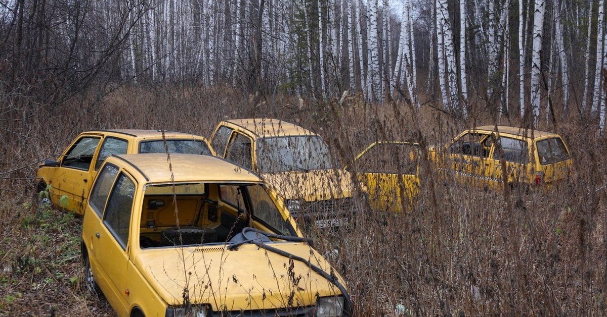 Ока ноябрь. ВАЗ-1111 Ока заброшенная. ЗАЗ-1103 такси заброшенные. Ока автосвалка. ВАЗ 1111 такси.