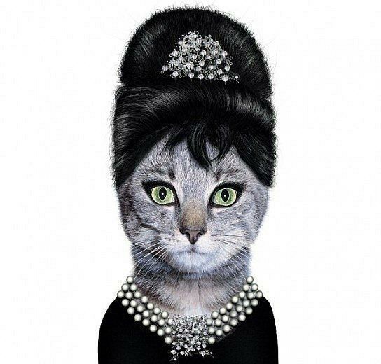 Photoshop Genius - Photoshop master, cat, Lady of the Heart, Outfit, Прическа, Necklace