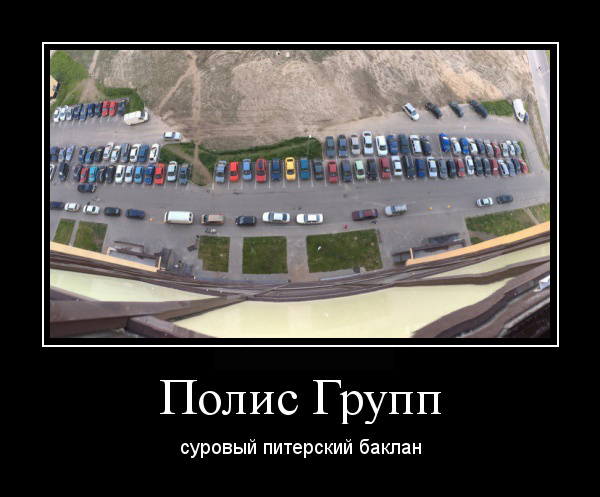 Суровые питерские бакланы склевали парковку. - Моё, Полис Групп, Дострой наш дом, Бакланы, В питере пить