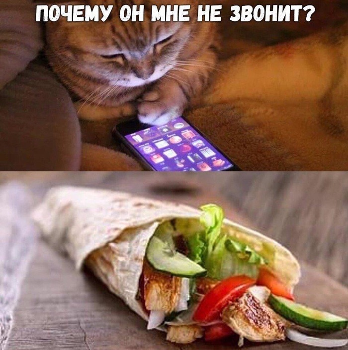 Не ешьте шаурму, не дайте котику скучать( - Шаурма, Кот, Не звонит, Печаль