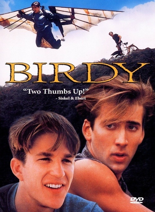 Birdy - I advise you to look, Drama, Movies, Nicolas Cage, Longpost, 