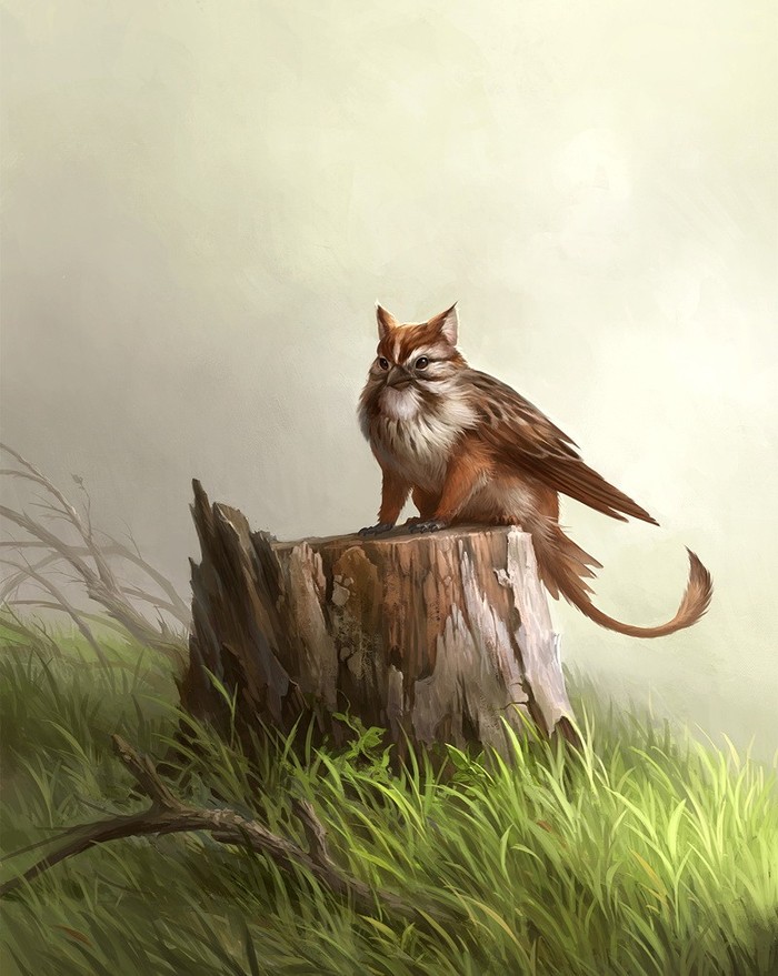 Griffin Sparrow - Art, Images, Griffin, Sparrow, Magical Creatures, Hybrid