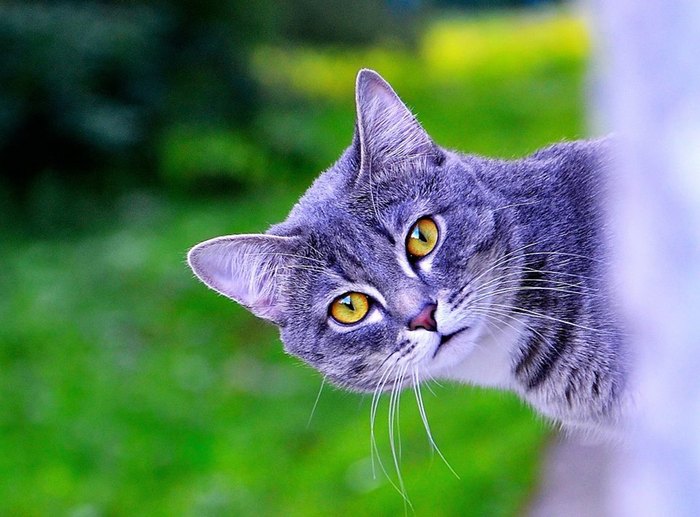 �����������.