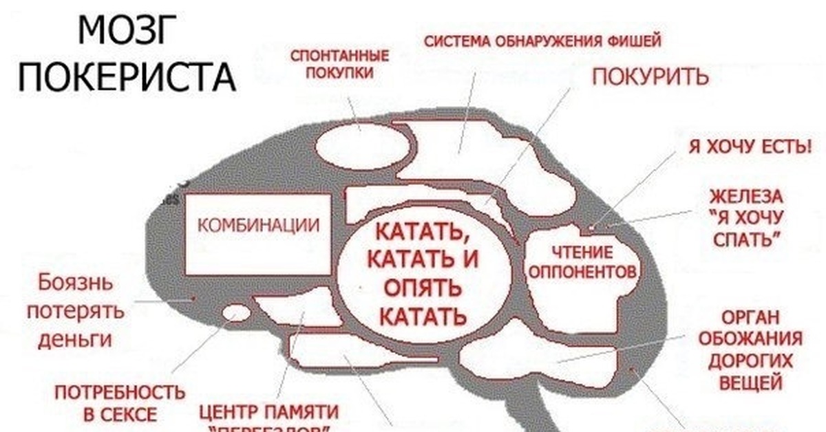 Женский мозг перед сном картинка