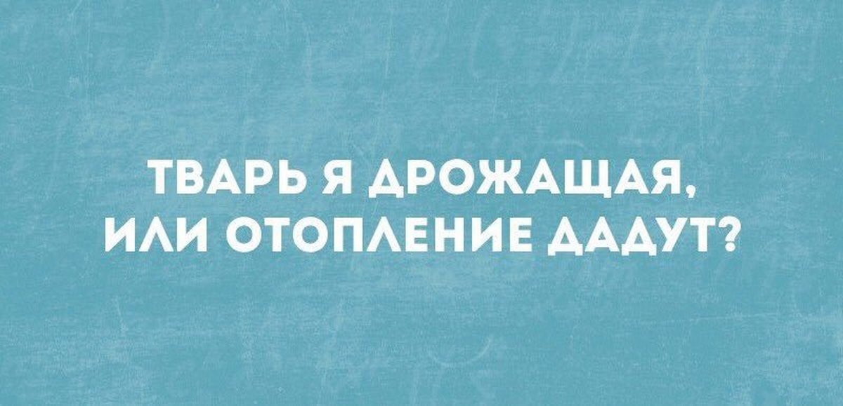 Тварь ли я дрожащая. Тварь я дрожащая или отопление. Тварь дрожащая. Тварь я дрожащая или отопление дадут. Тварь ли я дрожащая или отопление включите?.