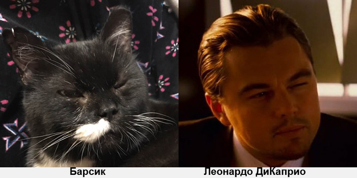 ���, � �������� ��� ��� ������