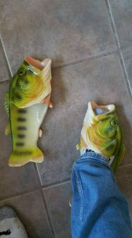 slippers - Slippers, A fish