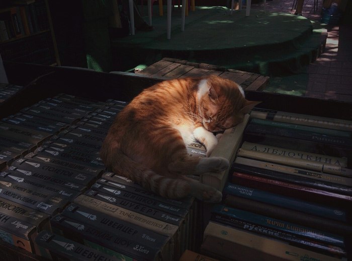 ���������� ����� ��������� ������ :)