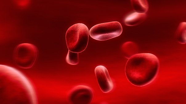 Bombay blood, or how I went nuts at the age of 26 from my rarest blood type ... - My, Blood, Blood type, The medicine, Phenomenon, , Blood Bank