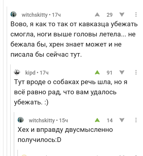 Убежала - Скриншот, Комментарии на Пикабу, Кавказцы, Собака