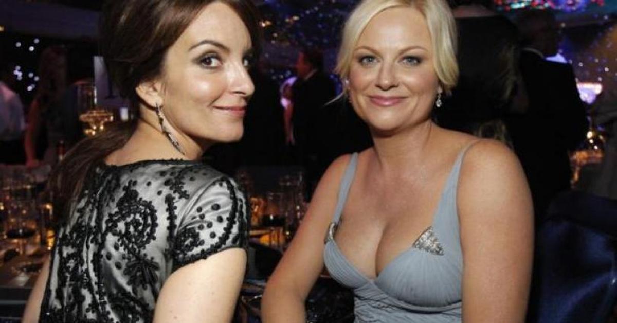 Amy Poehler Fake