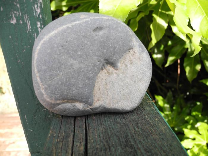 Hedgehog petrified in the fog - My, Stone from the beach, Find, Hedgehog in the fog