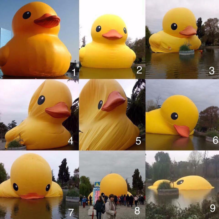 Оцените своё настроение от 1 до 9 по шкале резиновой уточки.