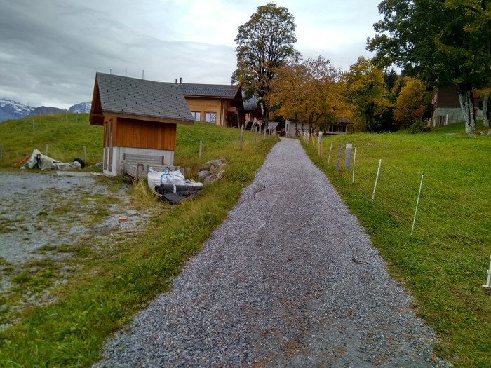 The story of one walk. - My, Longpost, Animals, Switzerland