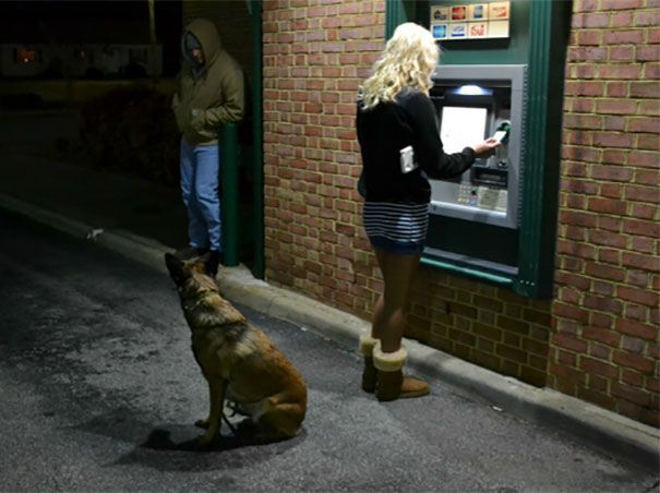 The best protection against robbers at an ATM - Dog, ATM, Security, Longpost