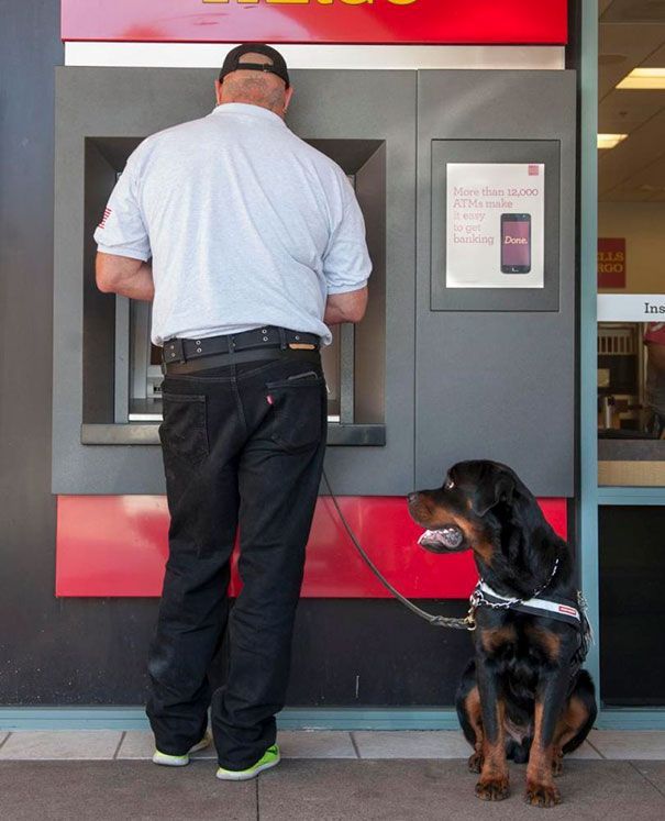 The best protection against robbers at an ATM - Dog, ATM, Security, Longpost