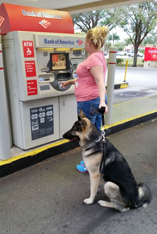 The best protection against robbers at an ATM - Dog, ATM, Security, Longpost