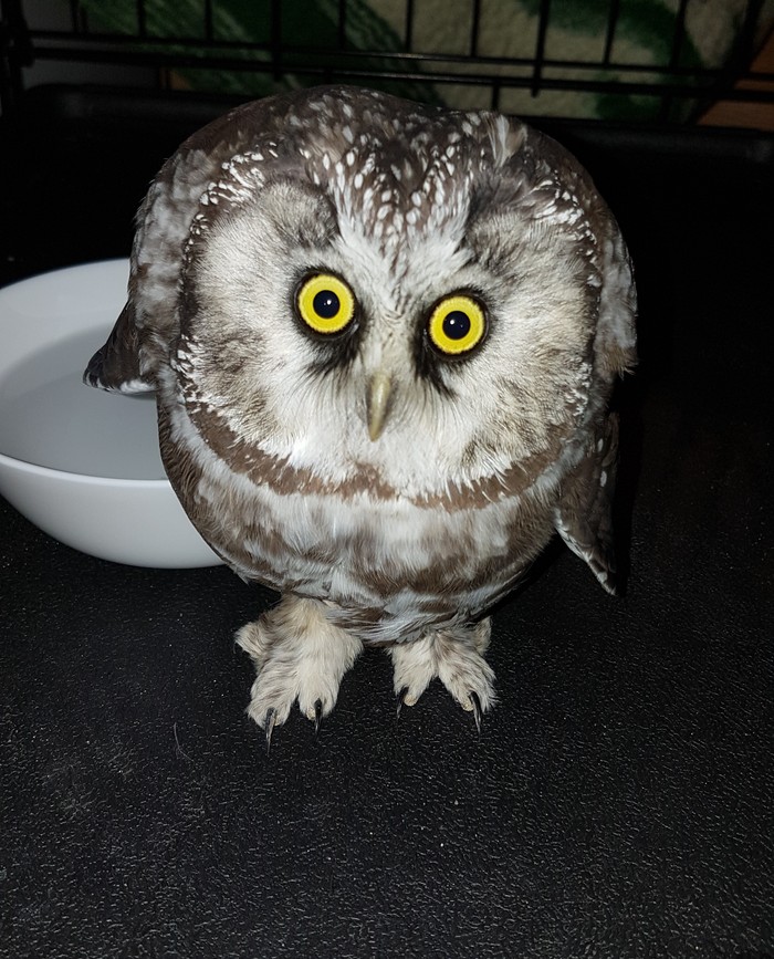 ��� ���?!