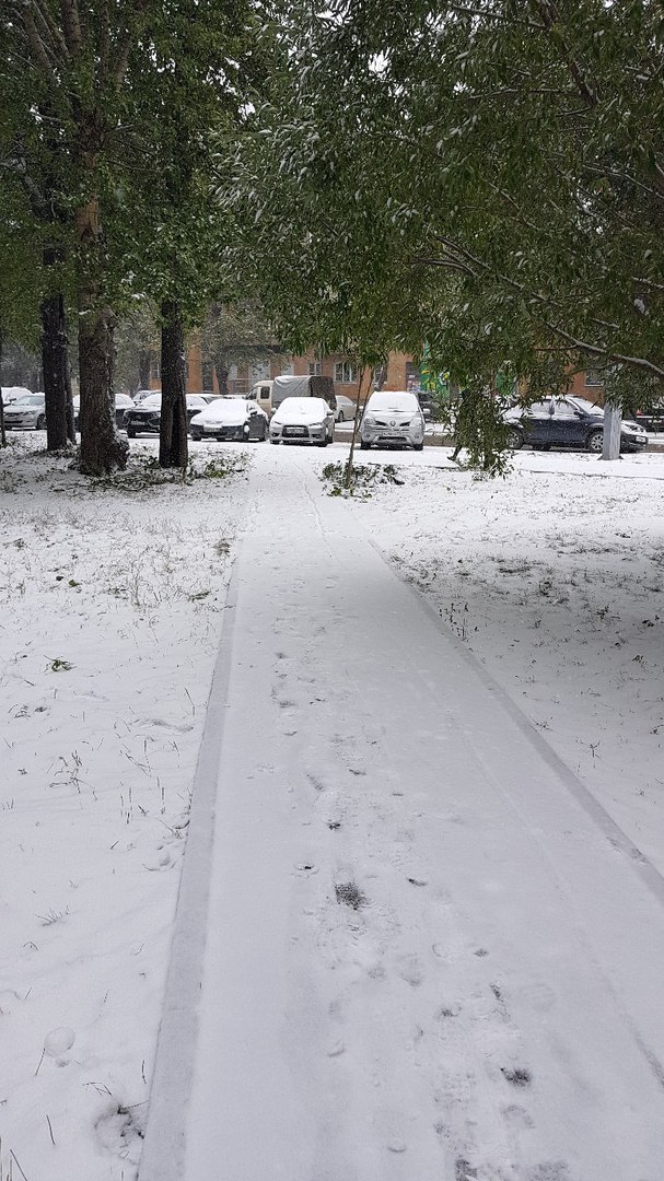 Meanwhile in Chelyabinsk...October 3rd. Autumn. - My, The winter is coming, , Longpost, Winter, Snow