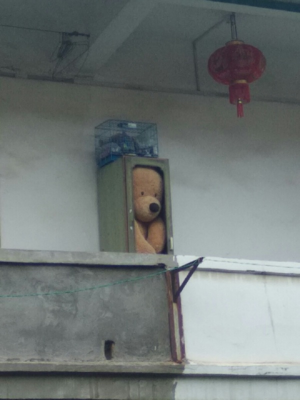 When no one needs you anymore... - The Bears, Soft toy