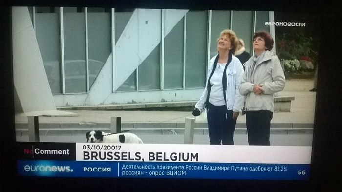 While we all live in 2017, Euronews broadcasts from the distant 20017 - My, Euronews, Future, Bloopers, news