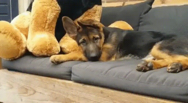       !