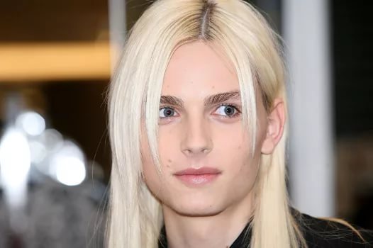 Let the 50th post be with cute photos of Andrey (and now Andrea) Pejic - , , Its a trap!, Longpost