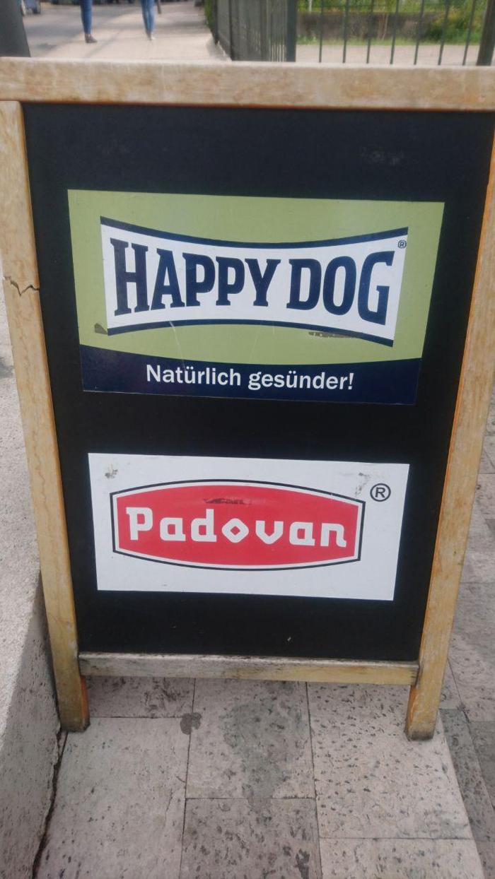 А в Черногории юный падаван - это счастливая собака :)