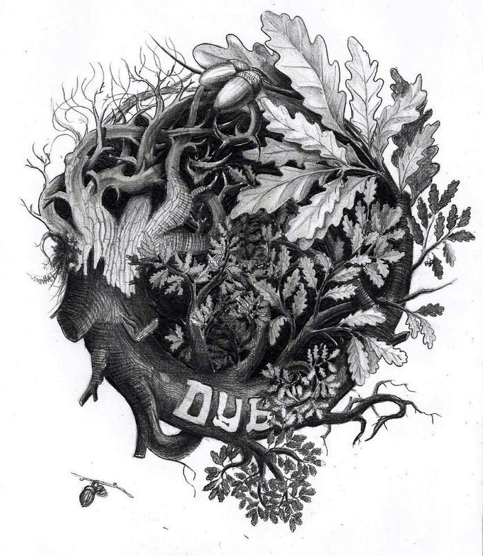 Loopback. - My, Drawing, Pencil drawing, Graphics, Forest, Dialectics