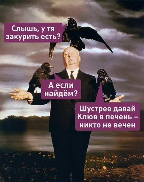 Trained crows will look for cigarette butts in exchange for peanuts - Лентач, In contact with, Images, Crow, Smoking, 