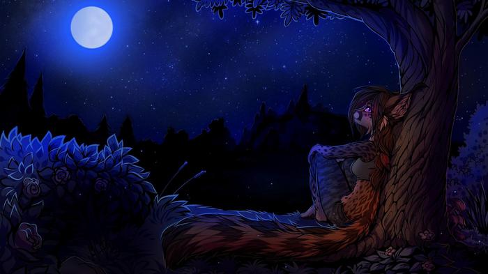 Beautiful night - Furry, Art, Neotheta